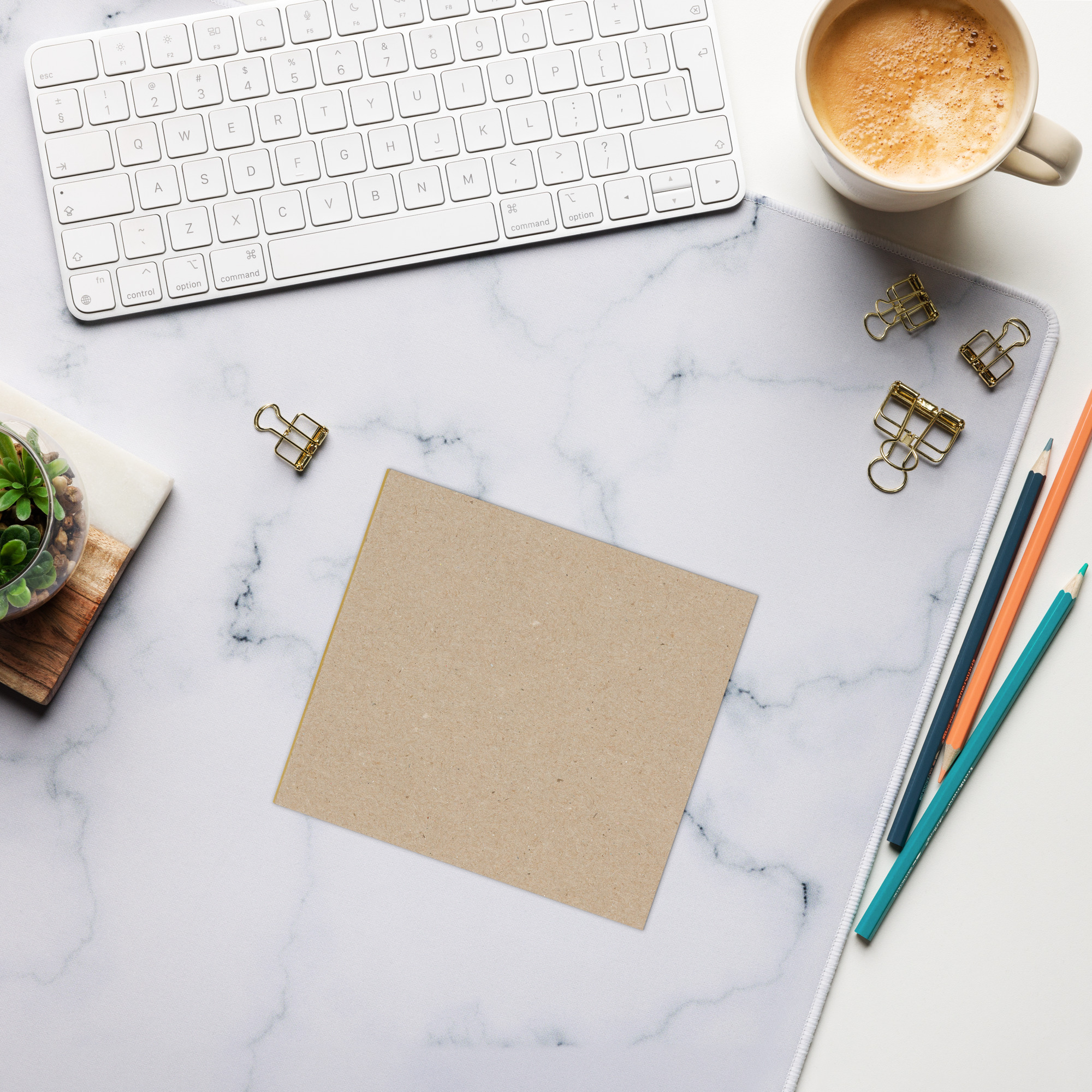 Magellanic Penguin Notepad